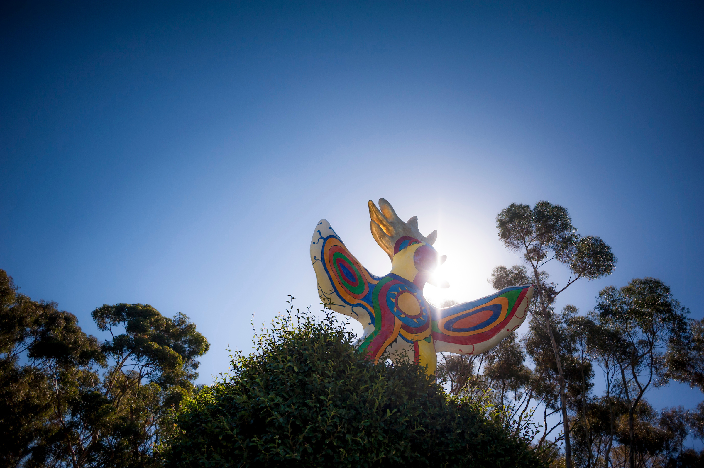 UCSD Sun God